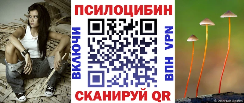 купить   Лаишево  Галлюциногенные грибы прущие грибы 